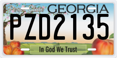 GA license plate PZD2135
