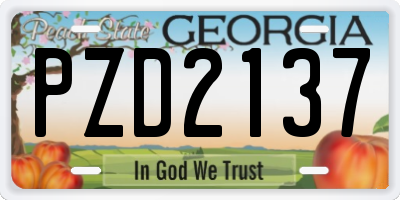 GA license plate PZD2137