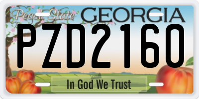 GA license plate PZD2160