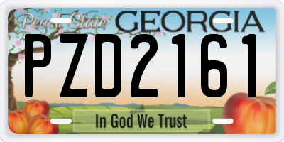 GA license plate PZD2161