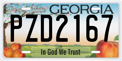 GA license plate PZD2167