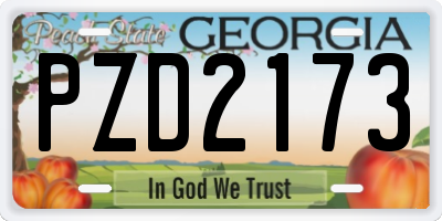 GA license plate PZD2173
