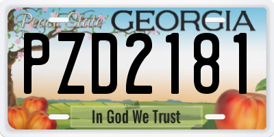 GA license plate PZD2181
