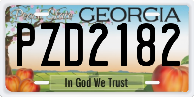 GA license plate PZD2182