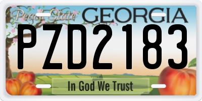 GA license plate PZD2183