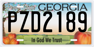 GA license plate PZD2189