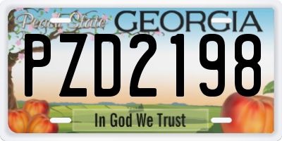 GA license plate PZD2198