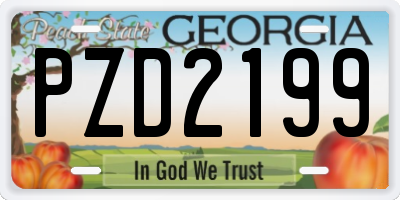 GA license plate PZD2199