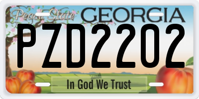 GA license plate PZD2202
