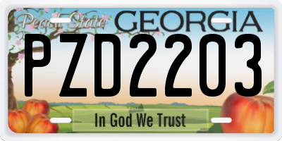 GA license plate PZD2203