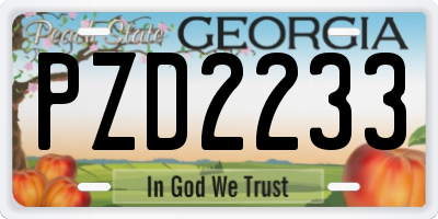 GA license plate PZD2233