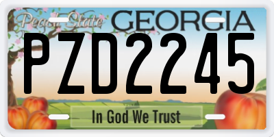 GA license plate PZD2245