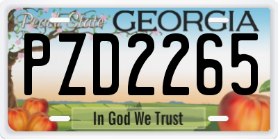 GA license plate PZD2265