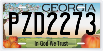 GA license plate PZD2273