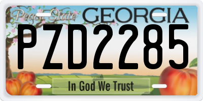 GA license plate PZD2285