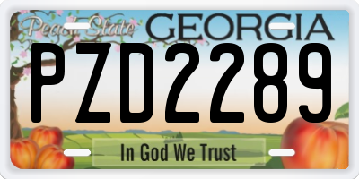 GA license plate PZD2289