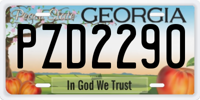 GA license plate PZD2290