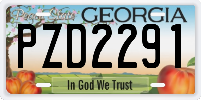 GA license plate PZD2291