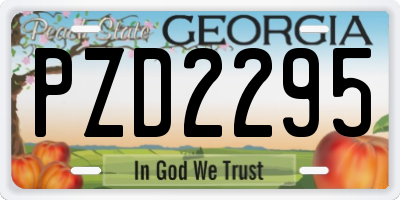 GA license plate PZD2295