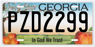GA license plate PZD2299