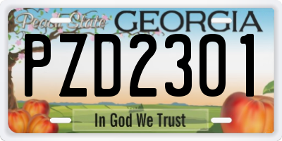 GA license plate PZD2301