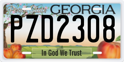 GA license plate PZD2308