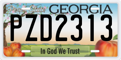 GA license plate PZD2313