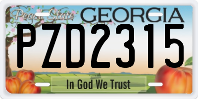GA license plate PZD2315