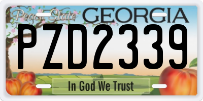 GA license plate PZD2339