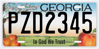 GA license plate PZD2345