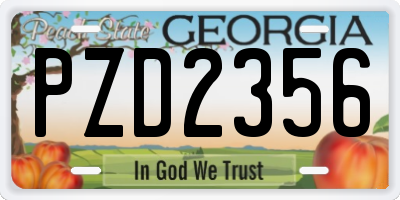 GA license plate PZD2356