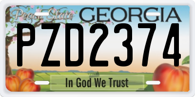 GA license plate PZD2374