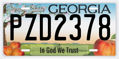 GA license plate PZD2378