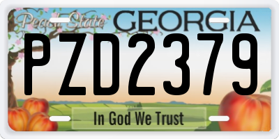 GA license plate PZD2379