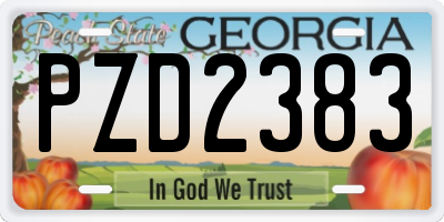 GA license plate PZD2383