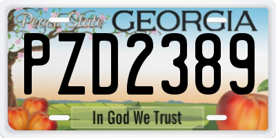GA license plate PZD2389