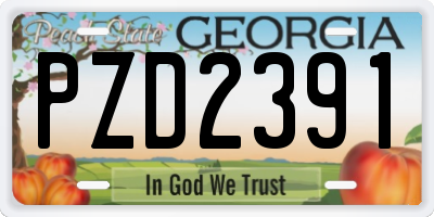 GA license plate PZD2391