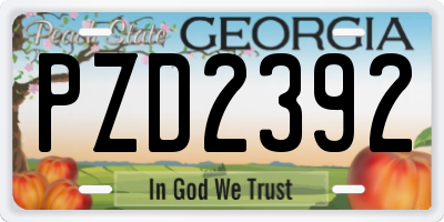 GA license plate PZD2392