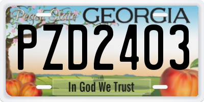 GA license plate PZD2403