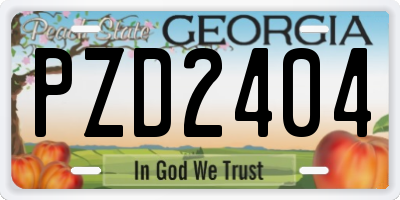 GA license plate PZD2404