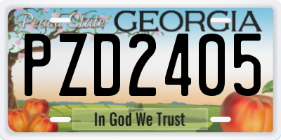 GA license plate PZD2405