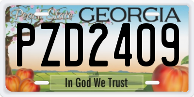 GA license plate PZD2409