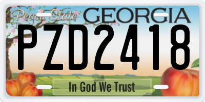 GA license plate PZD2418