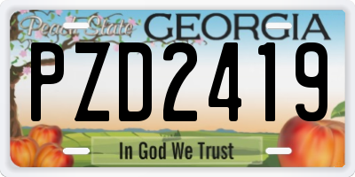 GA license plate PZD2419