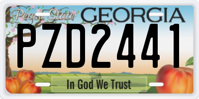 GA license plate PZD2441