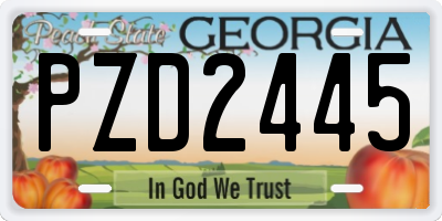 GA license plate PZD2445