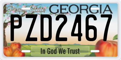 GA license plate PZD2467