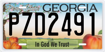 GA license plate PZD2491