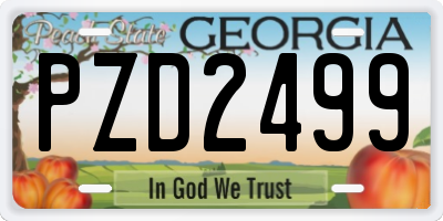 GA license plate PZD2499