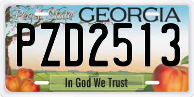 GA license plate PZD2513
